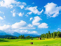 要想打贏藍(lán)天保衛(wèi)戰(zhàn)，我們還有哪些“硬骨頭”要啃？